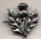 Scottish Thistle Pin; 2,5cm